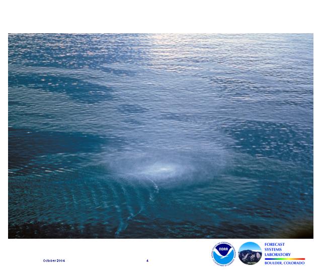 The image shows an aerial view of circulation in the ocean from a waterspout