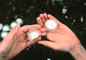 Large hail
