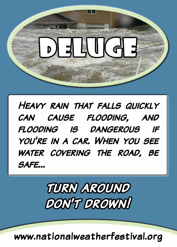 Deluge card back