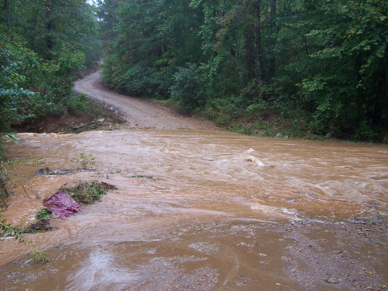 flash flood waters cross a road in a backwoods area