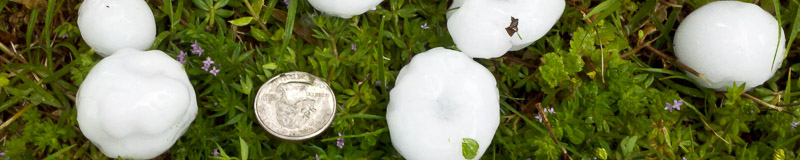 hail stones in grass with a U.S. quarter next to them; the hailstones are all larger than the coin