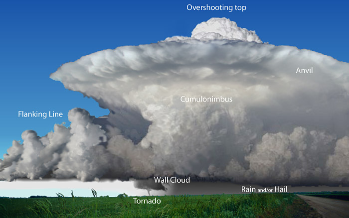 Squall meaning