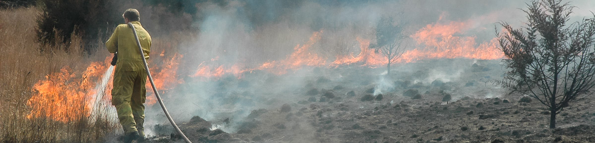 Firefighter fighting wildfire