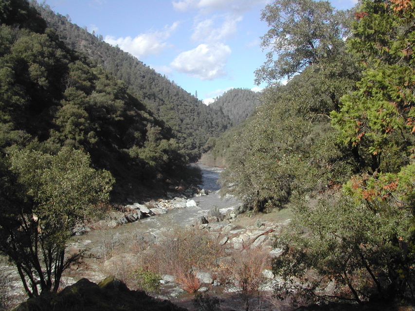 DSCN0257.JPG