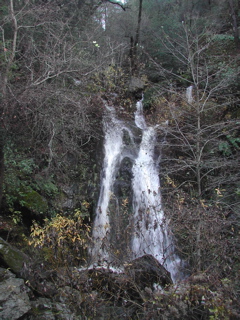 DSCN0237.JPG