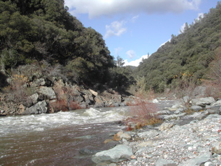 DSCN0250.JPG
