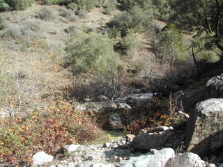 DSCN0251.JPG