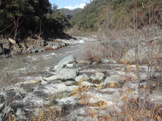 DSCN0252.JPG