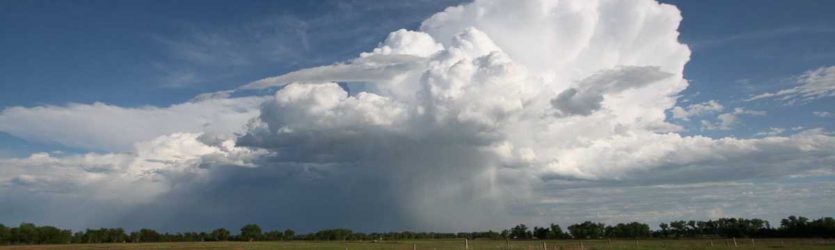Developing thunderstorm clouds with rain curtain below