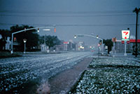 Aftermath of a hailstorm