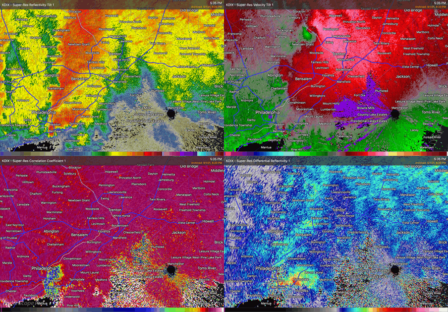 four-panel animated display of radar reflectivity and velocity, correlation coefficient and differential reflectivity