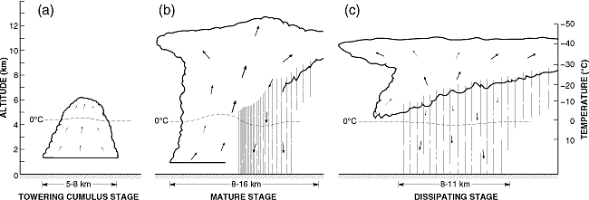 Panels b and c of Fig. 7.1 are missing precipitation.