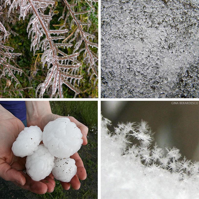 Frozen precipitaton: ice, sleet, hail, snow. Snow photo credit: Gina Berardesco